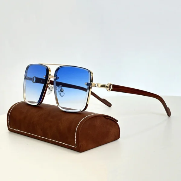 Pioneer Shades - Image 4