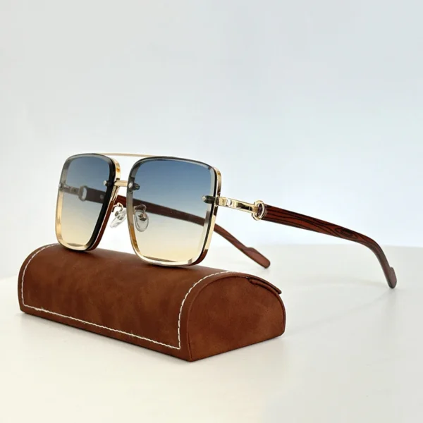 Pioneer Shades - Image 5